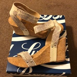 Never worn. Lucky Brand snakeprint Heels.